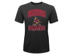 Hokej shop Arizona Coyotes