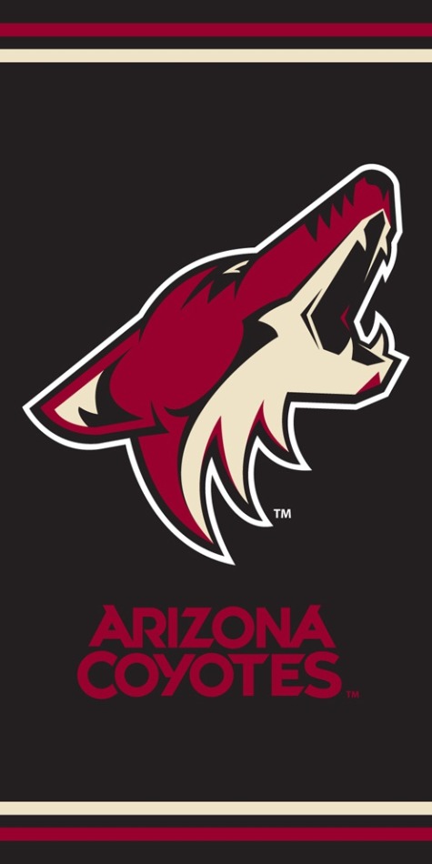 Arizona Coyotes ručník osuška TIP - Arizona Coyotes povlečení, ručníky, deky