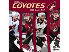 Arizona Coyotes vlajky, plakáty