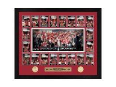 Carolina Hurricanes obraz NHL 2026 Stanley Cup Champions Limited Edition Memorable Moments Bronze Coin Photo Mint