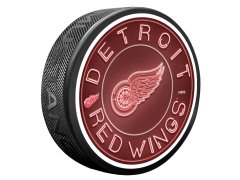 Detroit Red Wings hokejové vybavení