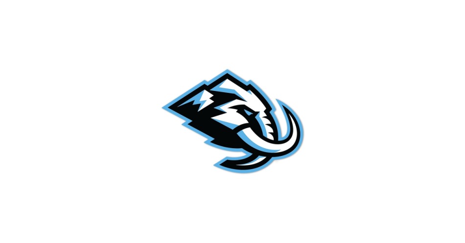Utah Hockey Club samolepka Perfect Cut Color Decal