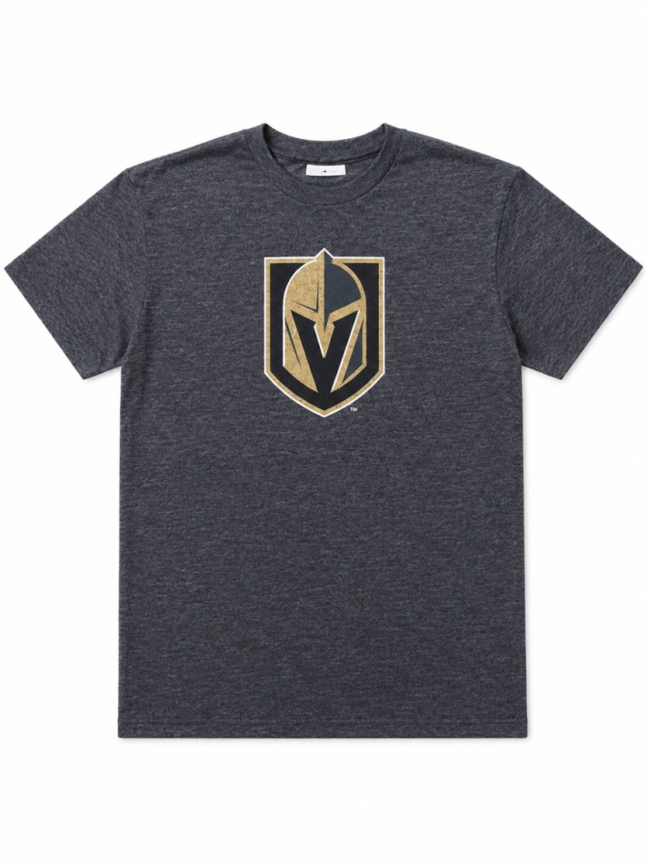 Vegas Golden Knights pánské tričko NHL Distressed Grey