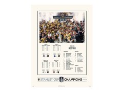 Plakát Vegas Golden Knights NHL Stanley Cup Champions 12" x 16" Stats & Roster